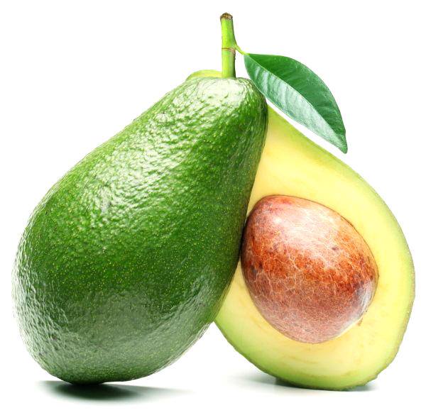 PALTA HASS